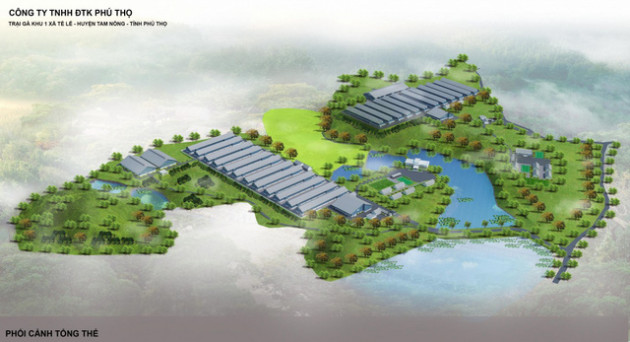 Thị trường ngành gia cầm dần phục hồi, người chăn nuôi an tâm mở rộng quy mô đầu tư - Ảnh 1.