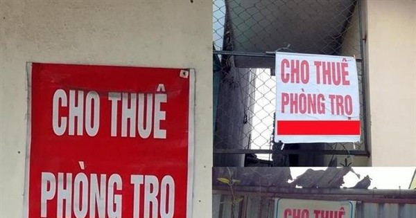 Thị trường nhà cho thuê tăng nhiệt - Ảnh 1.