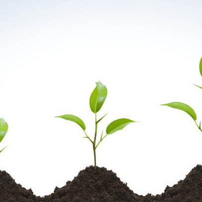 Thị trường rung lắc, khối ngoại tiếp tục mua ròng trong phiên 8/11