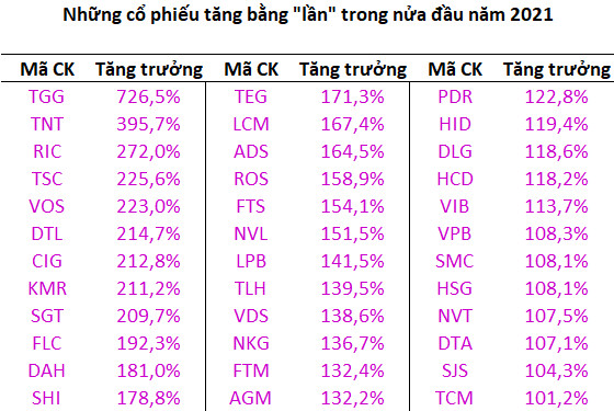 Thị trường thăng hoa, hàng loạt cổ phiếu tăng bằng lần trong nửa đầu năm 2021 - Ảnh 1.