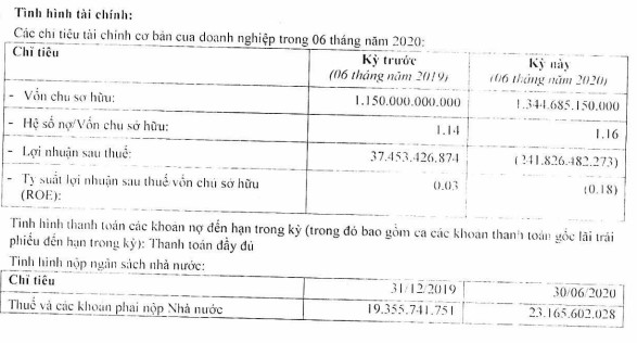 Thiên Minh Group lỗ ròng 242 tỷ sau 6 tháng, liệu tân binh hàng không KiteAir có tiếp tục lỡ chuyến? - Ảnh 1.