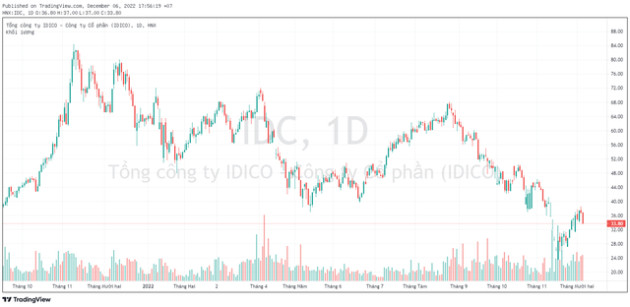 Thiếu hồ sơ, IDICO tạm dừng phương án mua lại cổ phiếu quỹ và giảm vốn điều lệ - Ảnh 1.