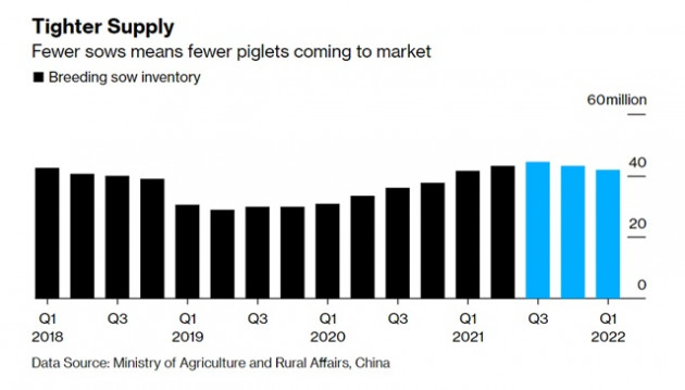 Thịt lợn - kẻ phá bĩnh mục tiêu lạm phát thấp của Trung Quốc - Ảnh 3.