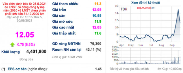 Thoái vốn bất thành, Thuduc House (TDH) tiếp tục đăng ký bán toàn bộ 5,4 triệu cổ phiếu FDC - Ảnh 1.