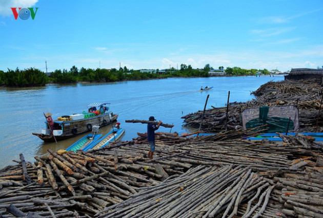 Thu nhập cao từ nghề “luyện vàng đen” - Ảnh 10.