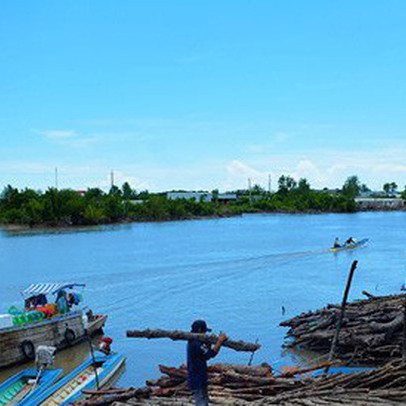 Thu nhập cao từ nghề “luyện vàng đen”