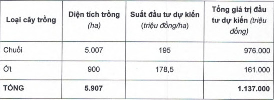 Thu về 3.800 tỷ từ trái phiếu, HAGL Agrico vừa tăng hơn 1.000 ha trồng chuối - Ảnh 1.