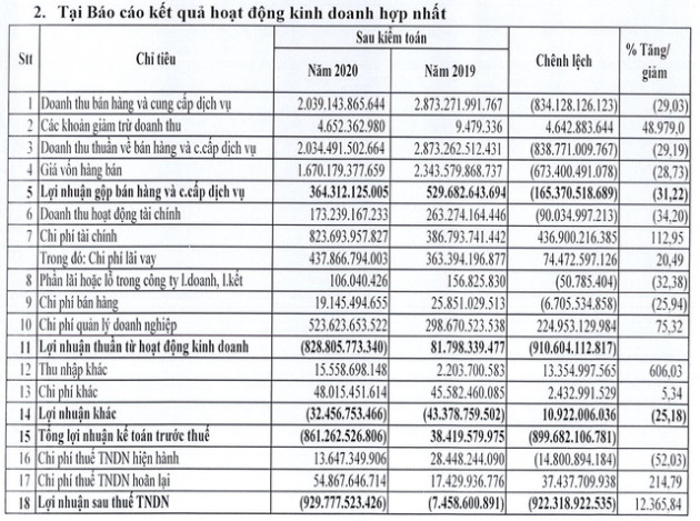 Thua lỗ gần 1.000 tỷ đồng, bị nghi ngờ khả năng hoạt động, cổ phiếu DLG vẫn tăng trần 7 phiên liên tiếp - Ảnh 1.