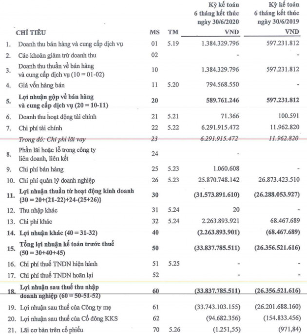 Thực phẩm Hà Nội Kinh Bắc (HKB) tiếp tục báo lỗ nửa đầu năm 2021 gần 34 tỷ đồng - Ảnh 1.