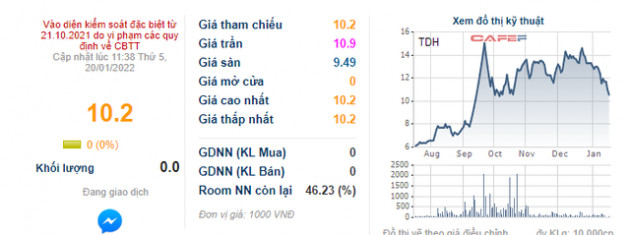 Thuduc House (TDH) bị cưỡng chế hơn 111 tỷ đồng tiền thuế - Ảnh 1.