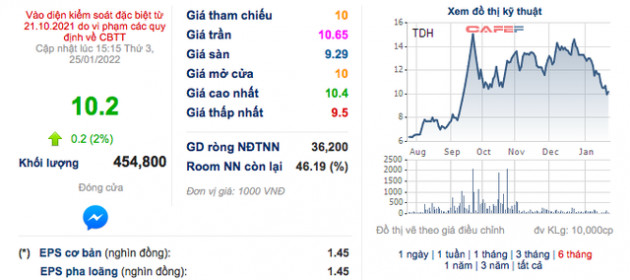 Thuduc House (TDH): Năm 2021, công ty mẹ báo lỗ kỷ lục 715 tỷ đồng - Ảnh 2.