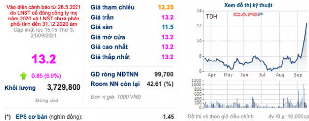 Thuduc House (TDH): Thành viên HĐQT xin từ chức vì lý do sức khoẻ - Ảnh 1.