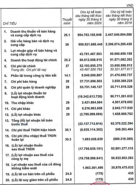 ThuDucHouse (TDH): Lỗ ròng tăng gấp 3 sau kiểm toán, tương đương lỗ 20 tỷ đồng sau nửa đầu năm - Ảnh 1.