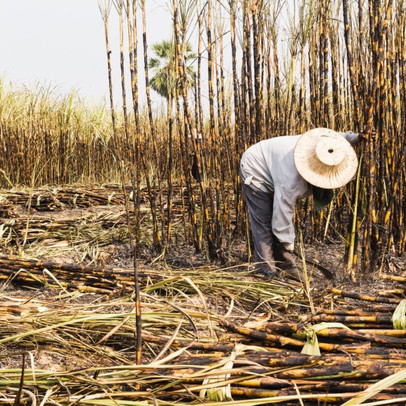 Thuế phòng vệ: Giải pháp cho thâm hụt thương mại ngành đường