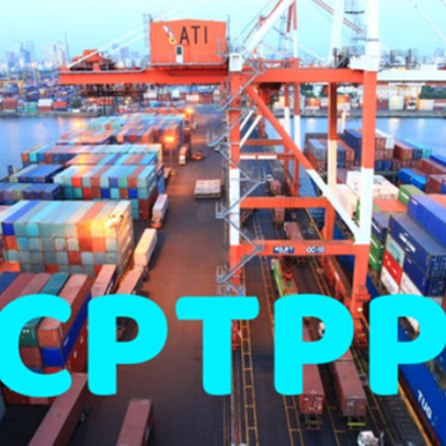 Thuế xuất khẩu ưu đãi thực hiện Hiệp định CPTPP từ 8,3%-3,6%