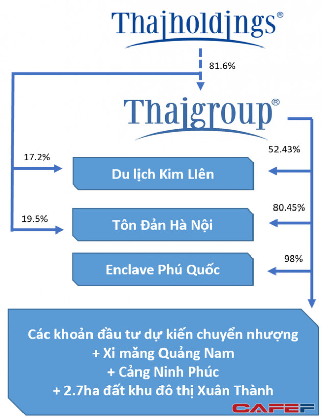 Thương vụ niêm yết cửa sau 3.000 tỷ đồng của bầu Thụy: Thaiholdings sẽ nắm giữ gì khi thâu tóm Thaigroup? - Ảnh 2.