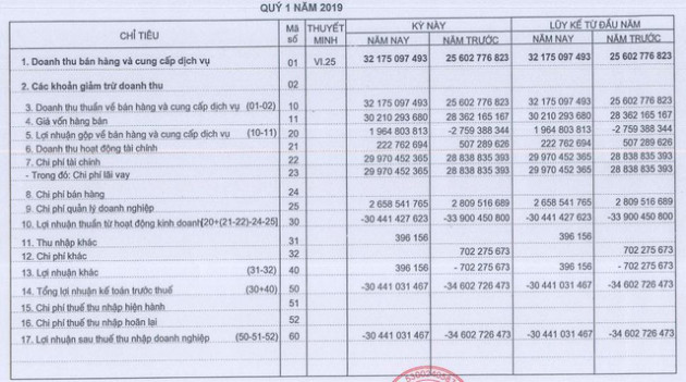 Thủy điện Bắc Hà (BHA): Quý 1/2019 báo lỗ 30 tỷ đồng - Ảnh 1.