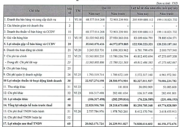 Thủy điện Gia Lai (GHC) báo lãi 20 tỷ đồng trong quý 3, giảm 23% so với cùng kỳ - Ảnh 1.