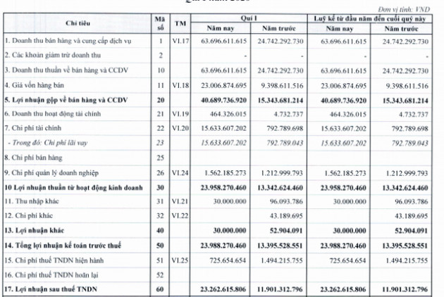 Thủy điện Gia Lai (GHC) báo lãi quý 1/2020 gấp đôi cùng kỳ - Ảnh 1.