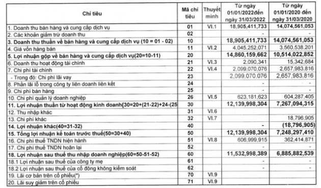 Thủy điện Sông Vàng (SVH): Quý 1 lãi 11 tỷ đồng tăng 64% so với cùng kỳ - Ảnh 1.