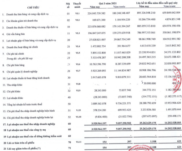 Thủy sản Cửu Long An Giang (ACL): Lãi quý 3/2021 giảm 61% xuống gần 4 tỷ đồng, mới chỉ hoàn thành 35% mục tiêu lợi nhuận năm sau 9 tháng - Ảnh 2.