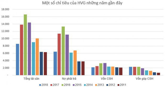 Thủy sản Hùng Vương (HVG) tiếp tục muốn bán vốn tại các công ty con - Ảnh 1.