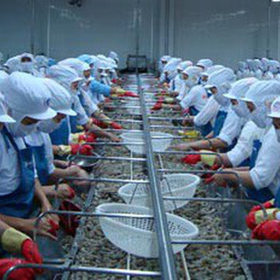 Thủy sản Minh Phú: Lãi quý 1/2018 đạt hơn 101 tỷ đồng, tăng 138% so với cùng kỳ