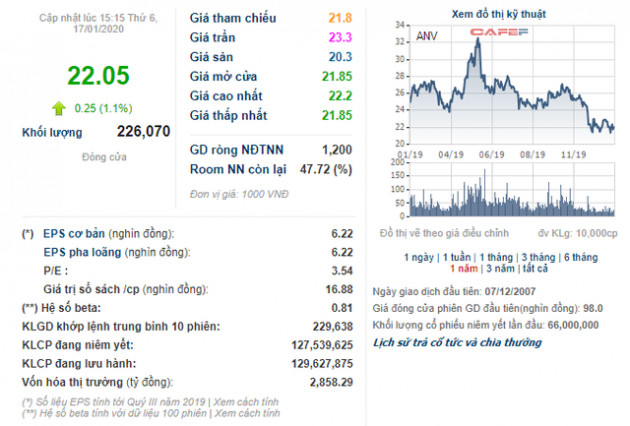 Thủy sản Nam Việt (ANV): Quý 4 lãi 198 tỷ đồng giảm 33% so với cùng kỳ - Ảnh 2.