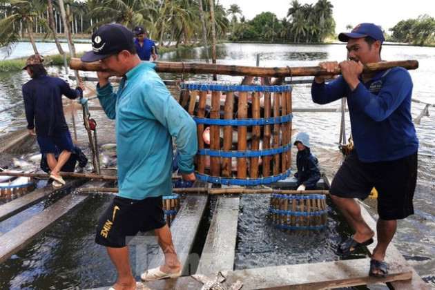 Thủy sản Việt Nam và những kỷ lục ấn tượng nhất từ trước tới nay - Ảnh 2.