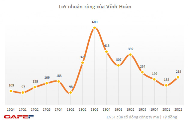 Thủy sản Vĩnh Hoàn mang 200 tỷ đồng “nhàn rỗi” đầu tư cổ phiếu: Bước đi nhiều rủi ro? - Ảnh 2.