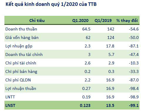 Tiến Bộ Group (TTB): Chưa được ghi nhận doanh thu dự án Green City, lãi quý 1 vỏn vẹn 123 triệu đồng - Ảnh 1.