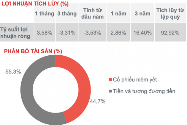 Tiền lớn đang nằm chờ bắt đáy, Dragon Capital rót tiền liên tục cho một quỹ đầu tư - Ảnh 3.