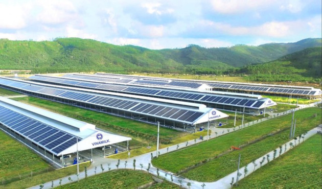 Tiên phong thực hiện cam kết của chính phủ về Net Zero 2020, Vinamilk dành 15 tỷ đồng trồng cây trung hòa carbon - Ảnh 7.