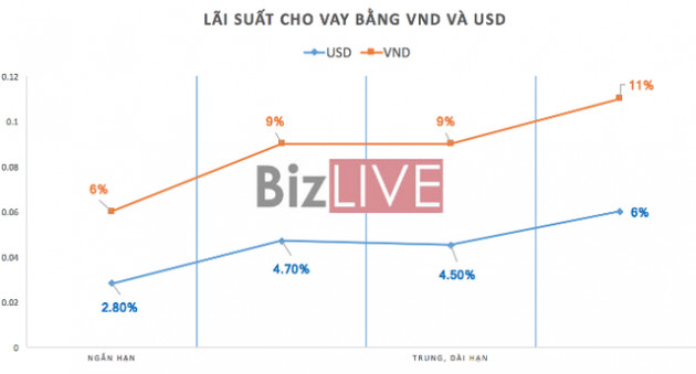 Tiến tới dừng cho vay ngoại tệ: Việc nên làm từ lâu? - Ảnh 1.