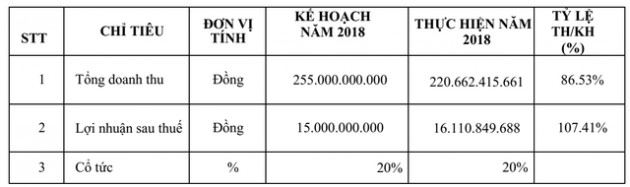 Tiếp tục tập trung phát triển các sản phẩm năng lượng sạch, SHE đặt kế hoạch lợi nhuận tăng 24% trong năm 2019 - Ảnh 1.