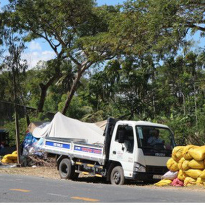 Tiêu thụ lúa gạo bền vững ở ĐBSCL: Day dứt sau những lần “giải cứu”