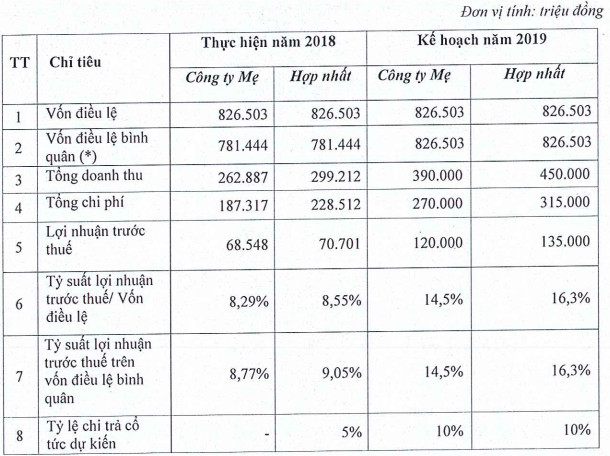 TIG lên kế hoạch 135 tỷ đồng lợi nhuận năm 2019 - Ảnh 1.