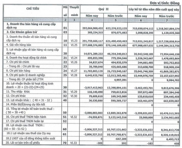 Timexco (TMC): Nguồn thu xăng dầu sụt giảm mạnh, quý 2 lỗ 3,8 tỷ đồng - Ảnh 2.