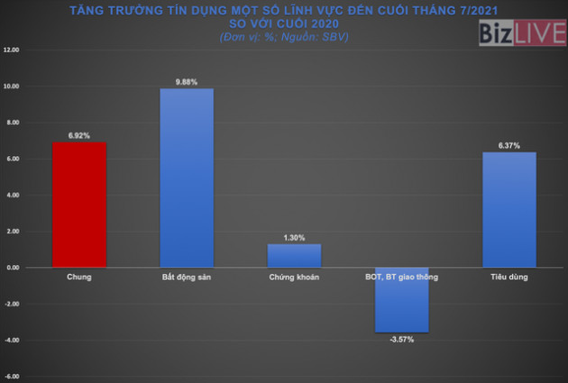 Tín dụng các lĩnh vực tiềm ẩn rủi ro đang ở mức độ nào? - Ảnh 1.