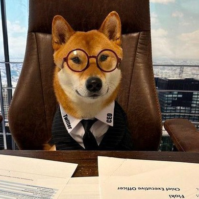 Tin được không: Elon Musk ‘bổ nhiệm’ chó Shiba Inu làm CEO Twitter, hàng loạt memecoin ‘xanh rực rỡ’