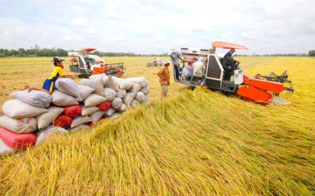 Tình huống hiếm gặp, thế mạnh Việt khó khăn chưa từng có - Ảnh 2.