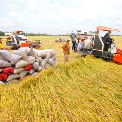 Tình huống hiếm gặp, thế mạnh Việt khó khăn chưa từng có