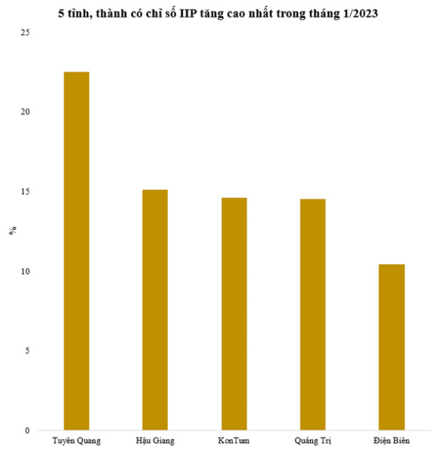 Tỉnh miền núi dẫn đầu cả nước về tốc độ tăng trưởng sản xuất công nghiệp trong tháng đầu năm 2023 - Ảnh 1.