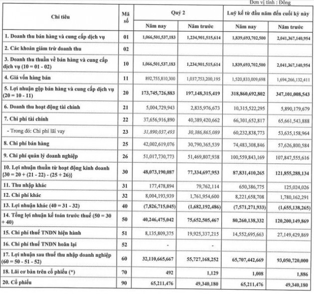 TNG: Do dịch bệnh Covid – 19, quý 2 lãi 32 tỷ đồng giảm 42% so với cùng kỳ - Ảnh 2.