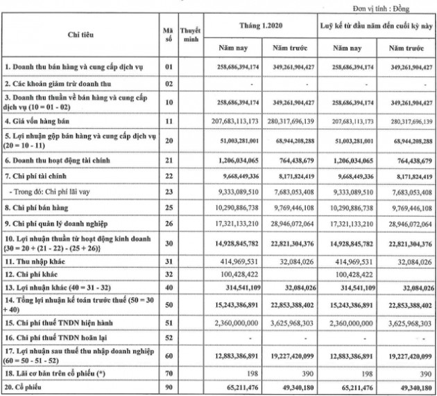 TNG giảm hơn 33% lãi tháng đầu năm 2020 xuống còn 13 tỷ đồng - Ảnh 1.