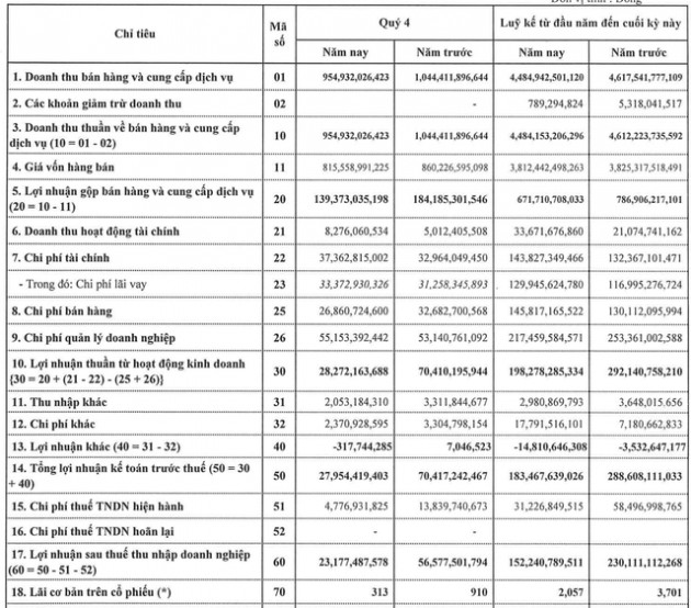 TNG: Một tháng cổ phiếu tăng 90% bất chấp lợi nhuận quý 4 giảm 59%, thấp nhất 3 năm - Ảnh 1.