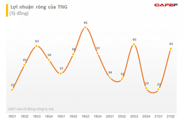 TNG sắp phát hành gần 6,4 triệu cổ phiếu trả cổ tức năm 2021 với tỷ lệ 8% - Ảnh 2.