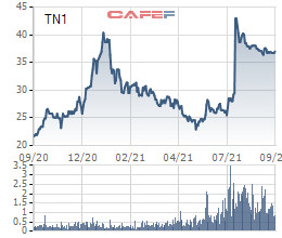 TNS Holdings (TN1) muốn huy động hơn 490 tỷ đồng trái phiếu để thanh toán nợ vay - Ảnh 1.