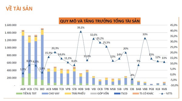 Toàn cảnh ngân hàng 2020 (kỳ 1): Tăng trưởng tổng tài sản giảm nhẹ so với cùng kỳ 2019