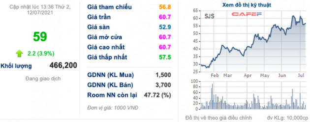 Tổng Công ty Sông Đà (SJG) sắp bán đấu giá 36,7% vốn tại SJS với giá 80.000 đồng/cp, cổ phiếu tăng kịch trần bất chấp phiên giảm điểm mạnh của toàn thị trường - Ảnh 2.